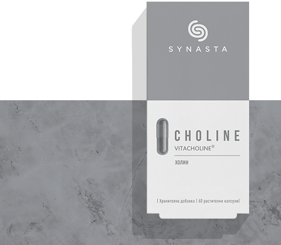 Synasta_Choline_Web_1